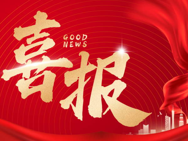 第33！第9！五星！兆弟控股荣膺2025中国建材行业3项权威殊荣